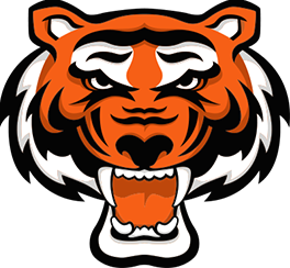 Rawlings Tigers Northern Illinois - Travel Baseball & Softball Club